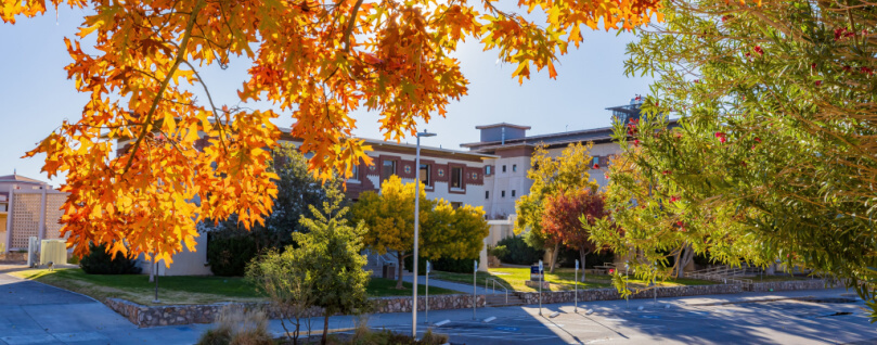 Texas state university